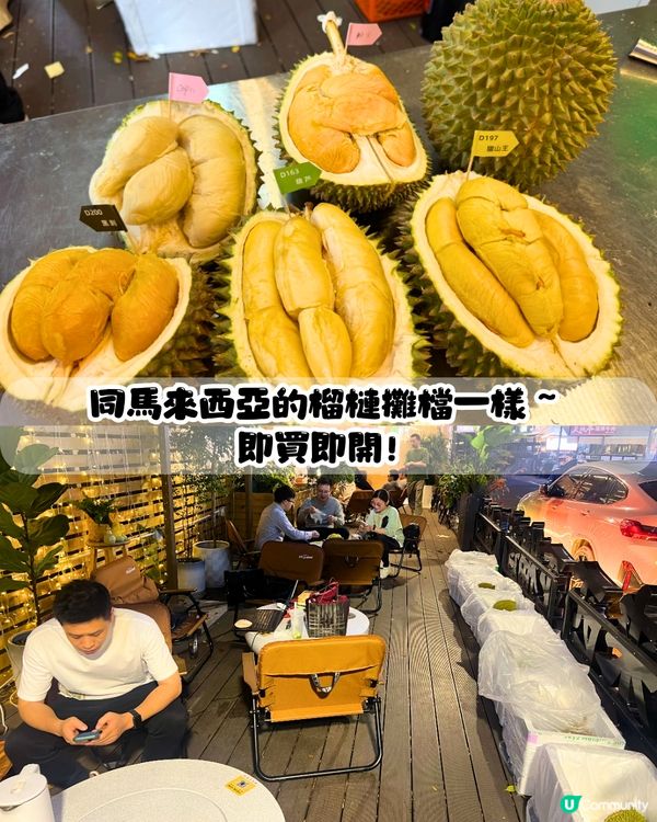 深圳榴槤大排檔😍食馬來西亞直運榴槤！黑刺/貓山王/葫蘆/甲必利‼️可選拼盤