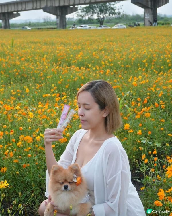 📣姐妹們「波波凍」第四團啦～