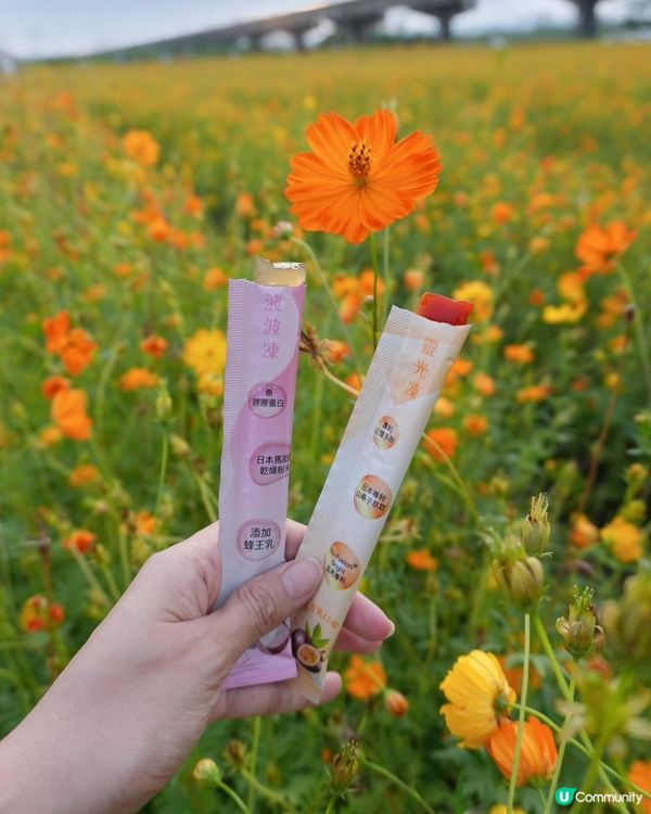 📣姐妹們「波波凍」第四團啦～