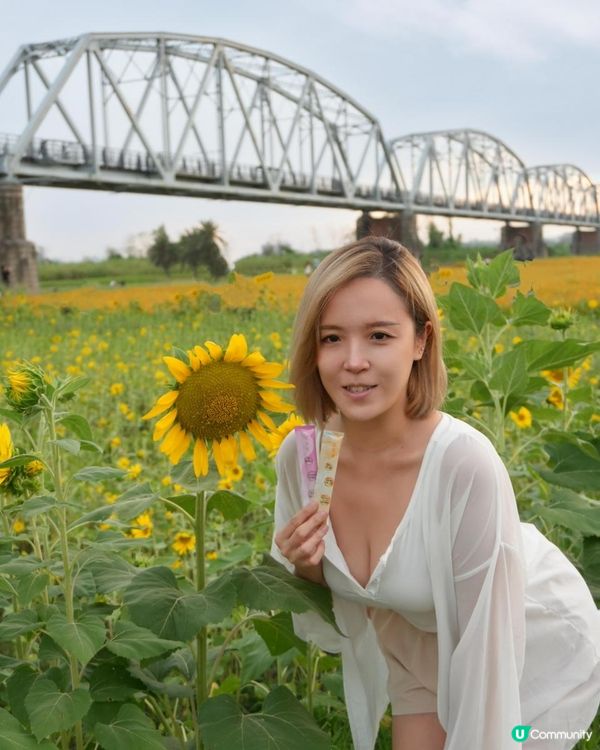 📣姐妹們「波波凍」第四團啦～