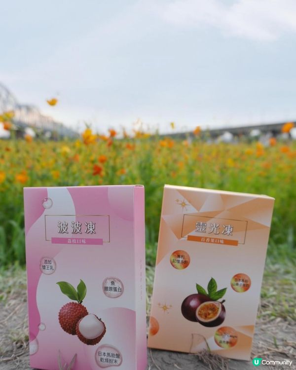 📣姐妹們「波波凍」第四團啦～