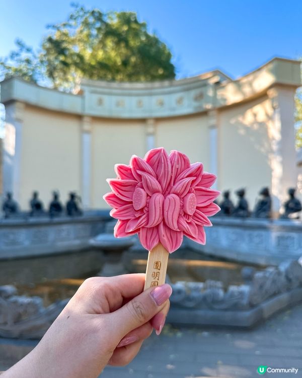 圓明園遺址，滄桑美景 🍃