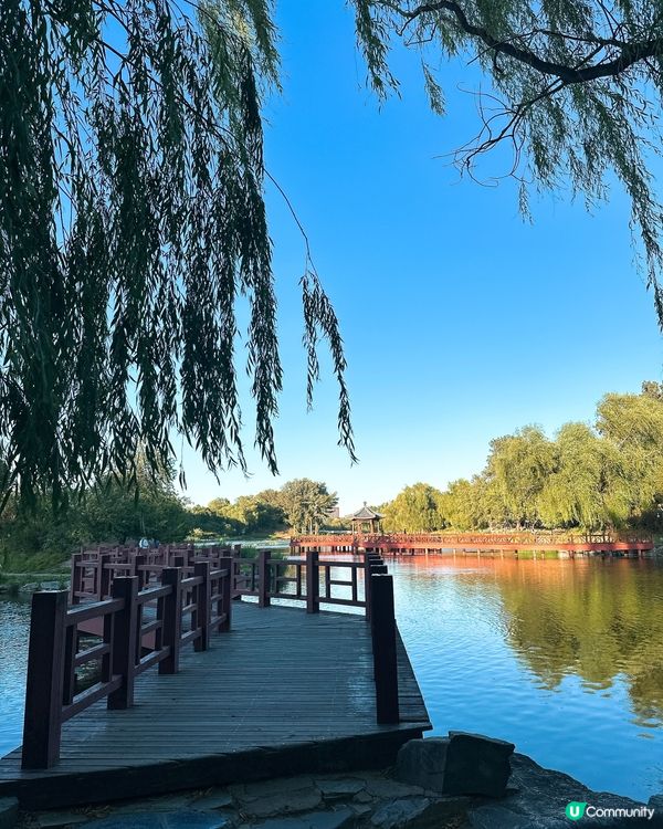 圓明園遺址，滄桑美景 🍃