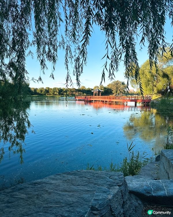 圓明園遺址，滄桑美景 🍃