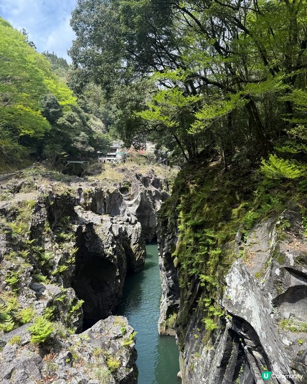 高千穗峽一日遊 🏞️ 坐天空小火車 🚡