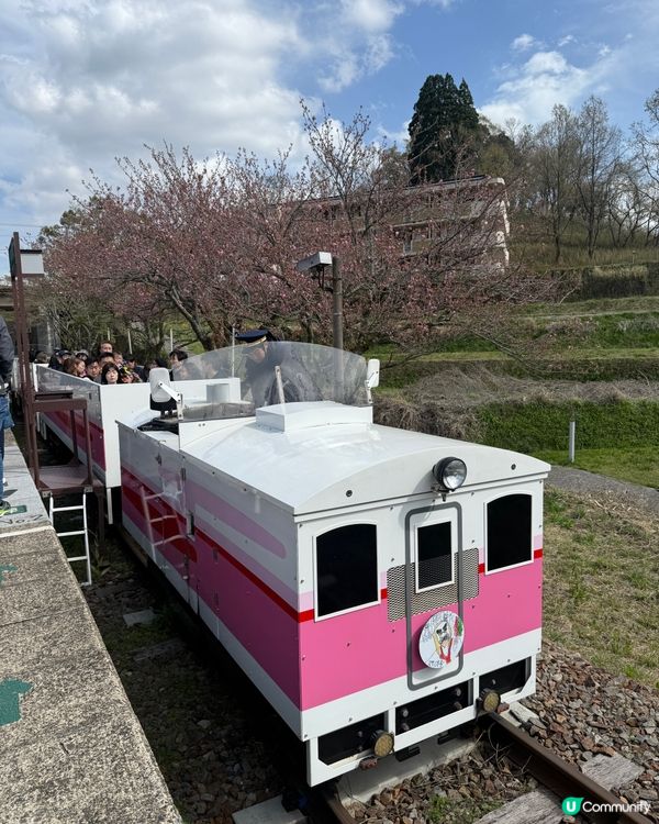 高千穗峽一日遊 🏞️ 坐天空小火車 🚡