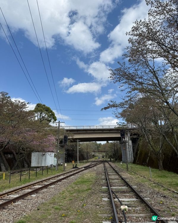 高千穗峽一日遊 🏞️ 坐天空小火車 🚡