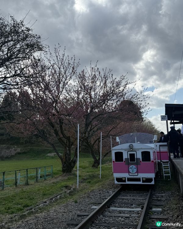 高千穗峽一日遊 🏞️ 坐天空小火車 🚡