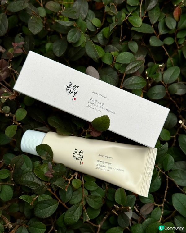 【Beauty of Joseon｜有機米糠防曬霜】