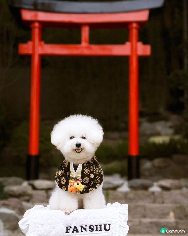 香港都可以偽日本旅行🇯🇵 香港市區嘅日本庭園⛩️
