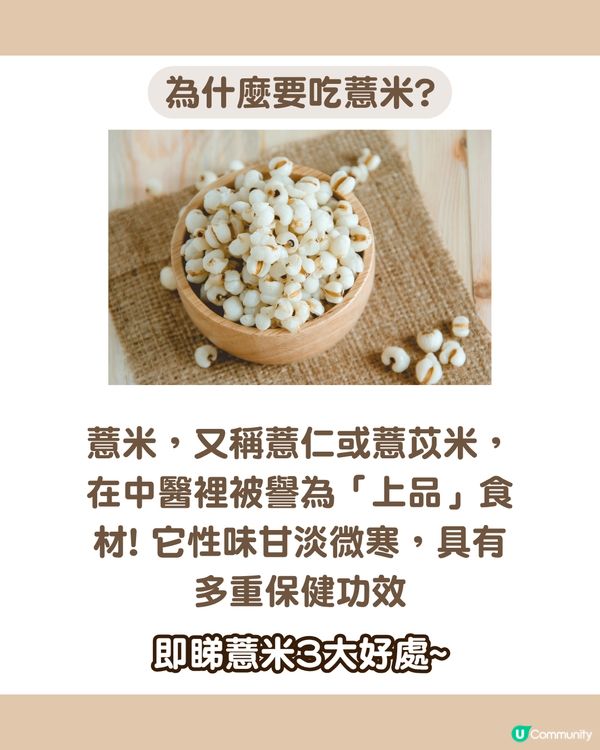 告別濕氣、水腫！6款薏米糖水食譜☀️ 紅豆/銀耳/桂圓