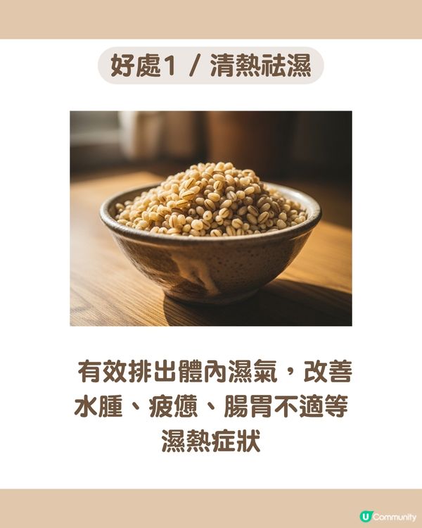 告別濕氣、水腫！6款薏米糖水食譜☀️ 紅豆/銀耳/桂圓