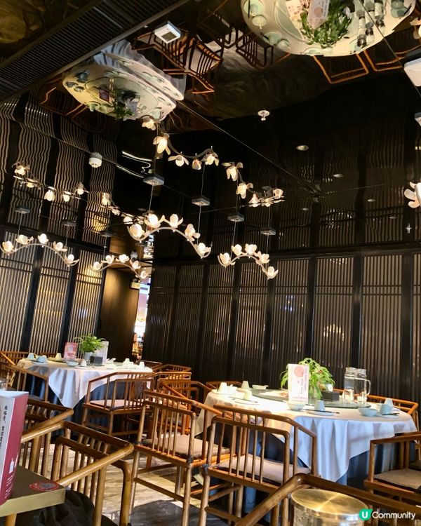 西安必食陝菜｜唐貓庭院招牌「鍋子魚」鮮嫩滑！