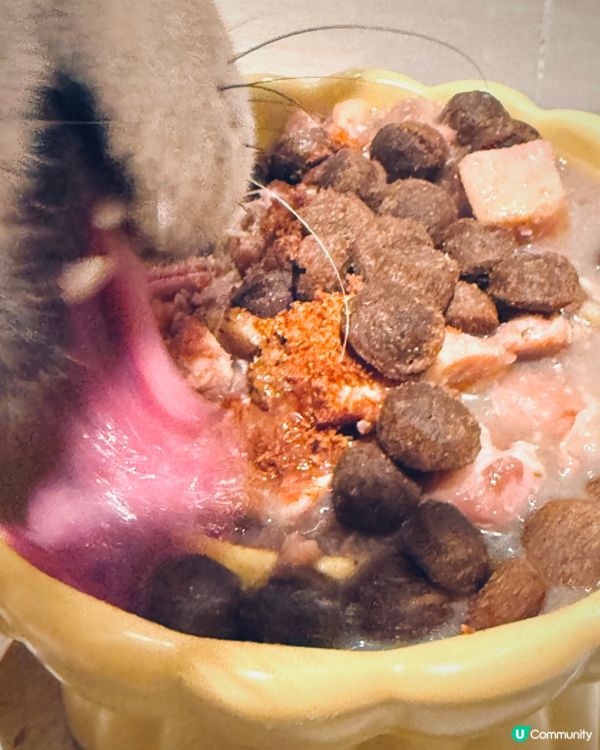 2025優質寵物展✨購物心得