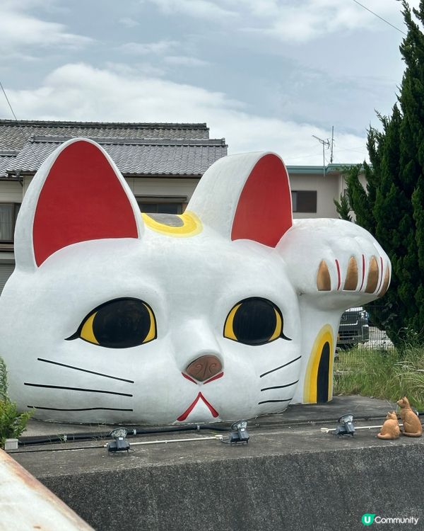 名古屋景點｜常滑市巨大招財貓