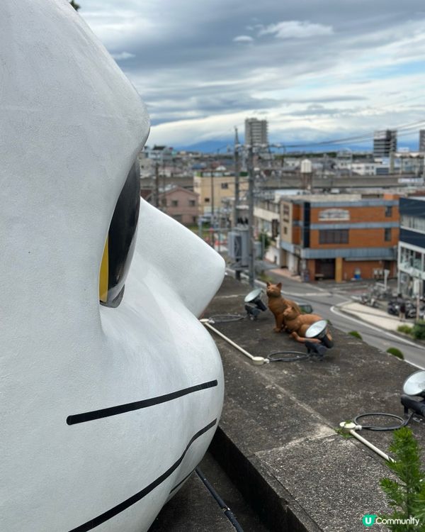 名古屋景點｜常滑市巨大招財貓