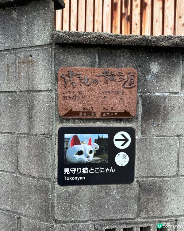 名古屋景點｜常滑市巨大招財貓