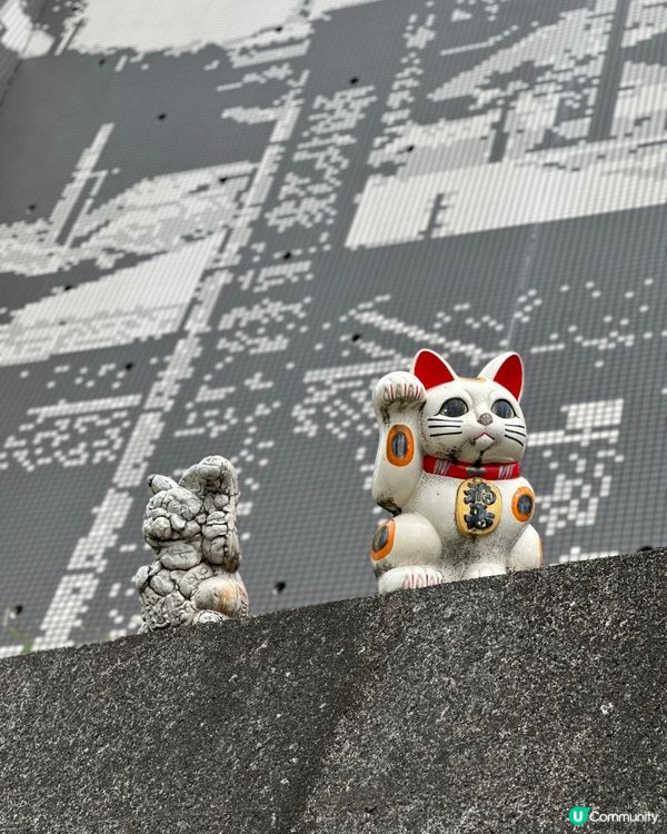 名古屋景點｜常滑市巨大招財貓