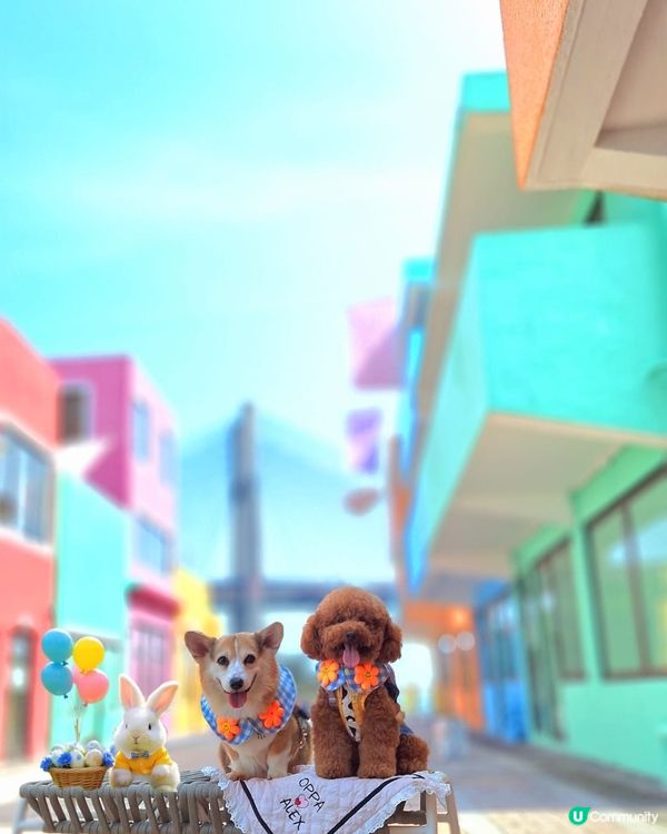 🎨 馬灣畫室🎨  畫畫送比對仔🥰