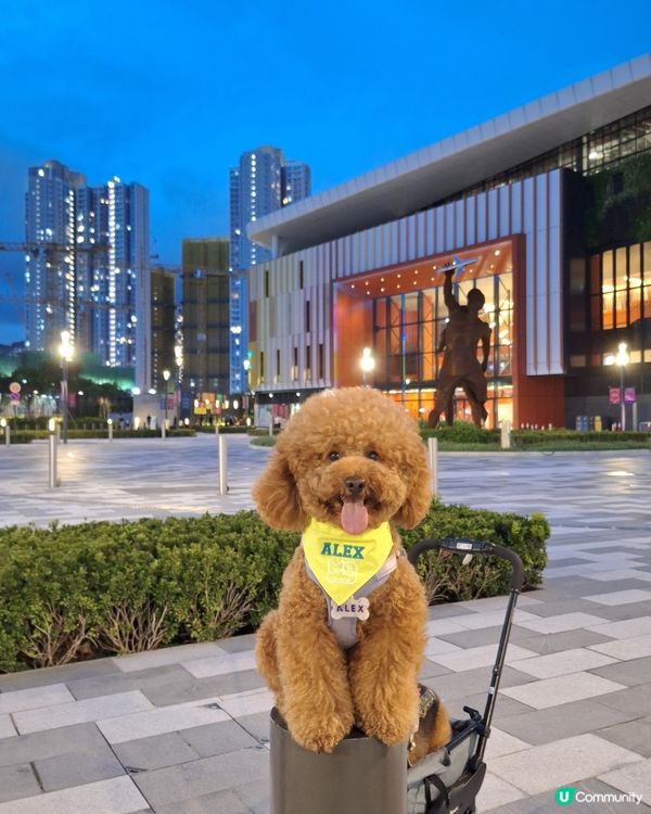 做毛記，爆料賺獎品！🐶🐱🎉