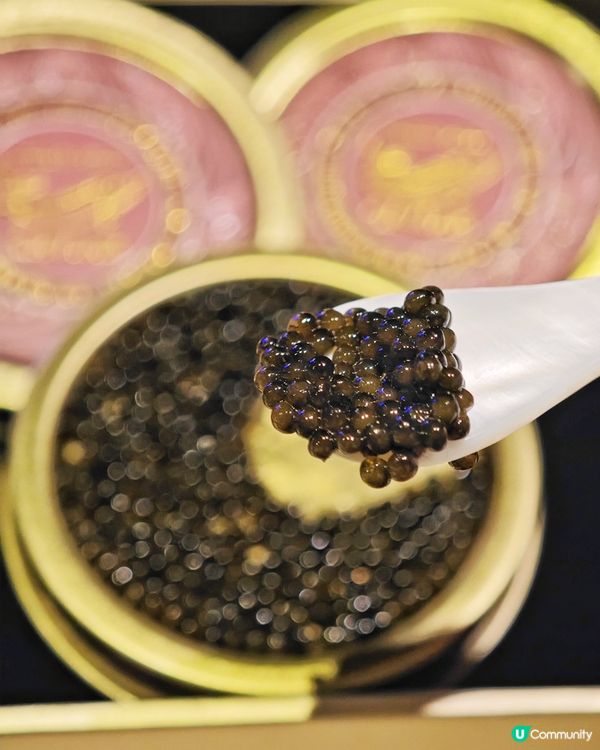 高CP💰魚子醬⚫和牛他他🥩盛宴