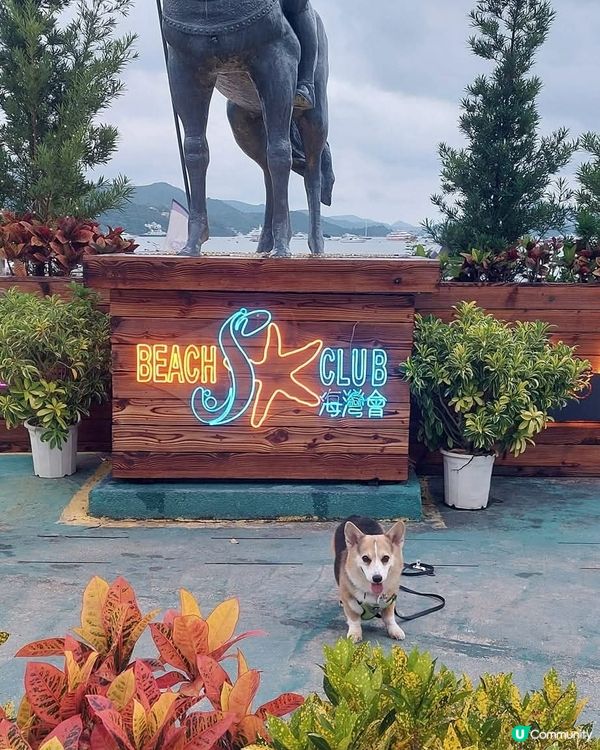 海鮮桶爆餡！🦐🦀🦑  
西貢必食！豪氣海鮮桶，成桶倒落