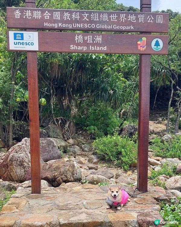 海鮮桶爆餡！🦐🦀🦑  
西貢必食！豪氣海鮮桶，成桶倒落