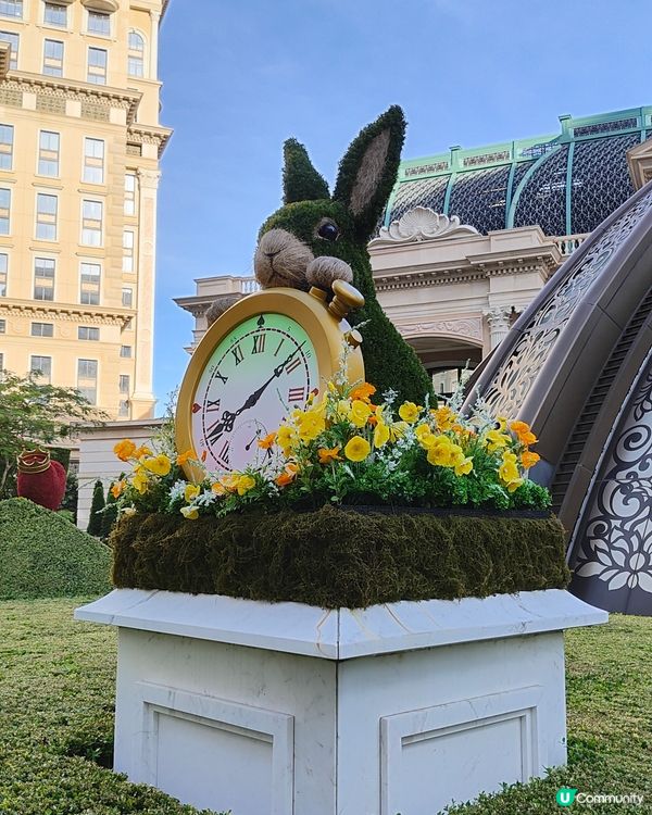 愛麗絲夢遊上葡京