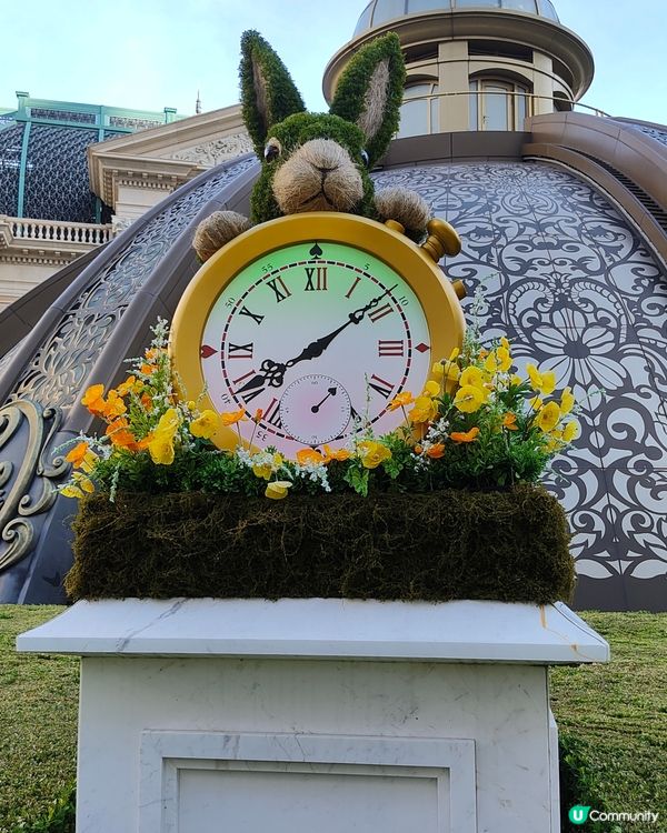 愛麗絲夢遊上葡京