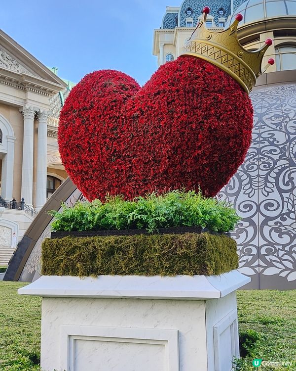 愛麗絲夢遊上葡京