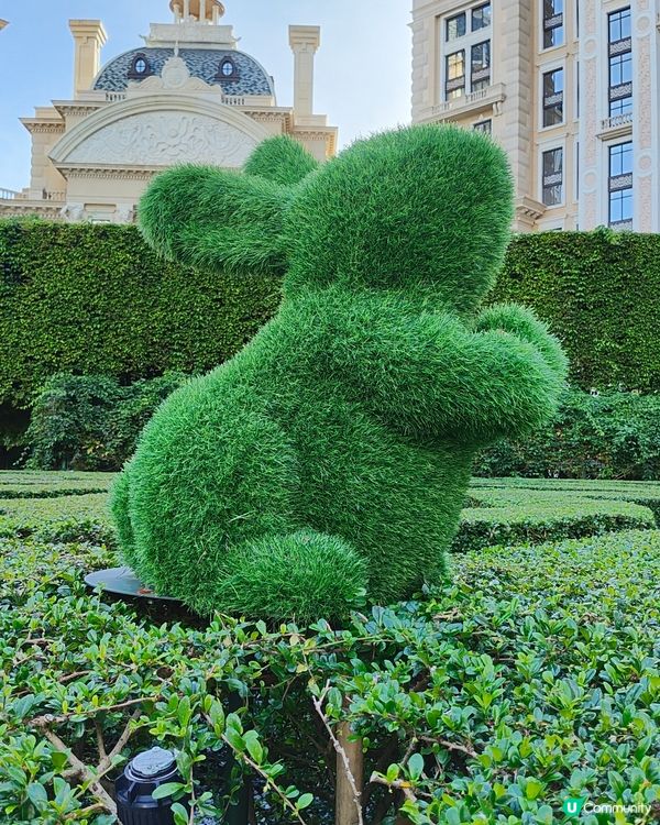 愛麗絲夢遊上葡京