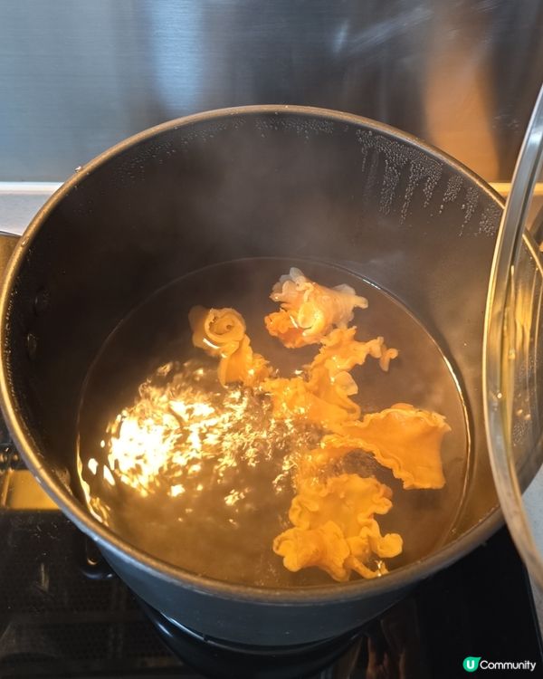 花膠浸發簡單 🤫  輕鬆搞掂！🤩