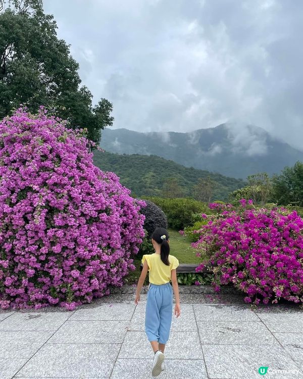 慈山寺避暑之旅🧘‍♀️🍃