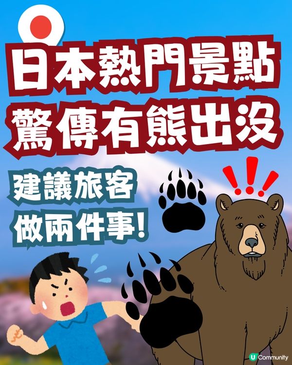 日本山梨縣旅遊熱點「有熊出沒」！當地建議旅客要做「兩件事」