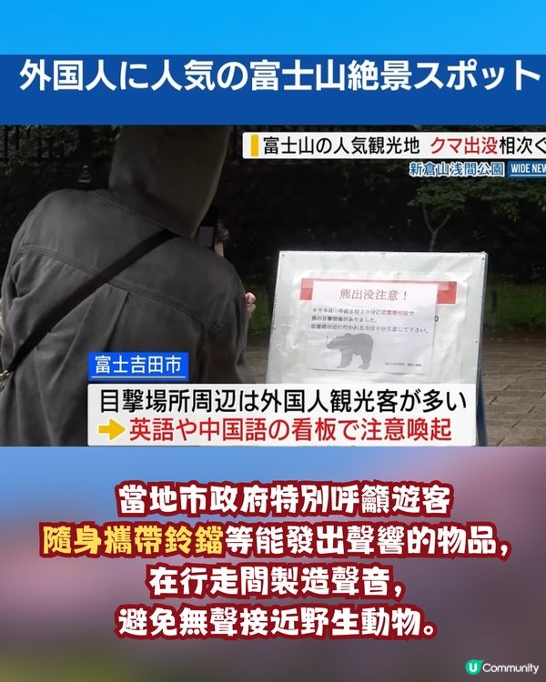 日本山梨縣旅遊熱點「有熊出沒」！當地建議旅客要做「兩件事」