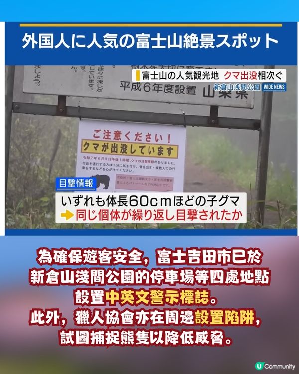 日本山梨縣旅遊熱點「有熊出沒」！當地建議旅客要做「兩件事」