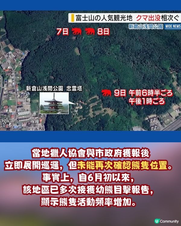日本山梨縣旅遊熱點「有熊出沒」！當地建議旅客要做「兩件事」