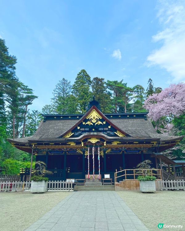 仙台🌸石鳥居，櫻花🌸燈籠🏮 盡顯典雅之美