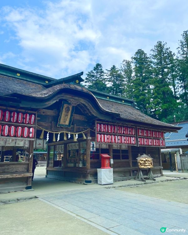 仙台🌸石鳥居，櫻花🌸燈籠🏮 盡顯典雅之美