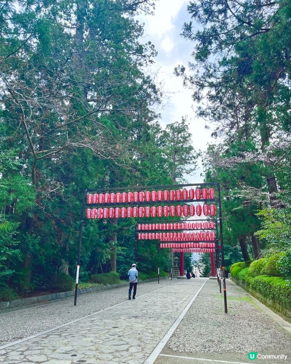 仙台🌸石鳥居，櫻花🌸燈籠🏮 盡顯典雅之美