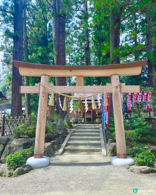 仙台🌸石鳥居，櫻花🌸燈籠🏮 盡顯典雅之美
