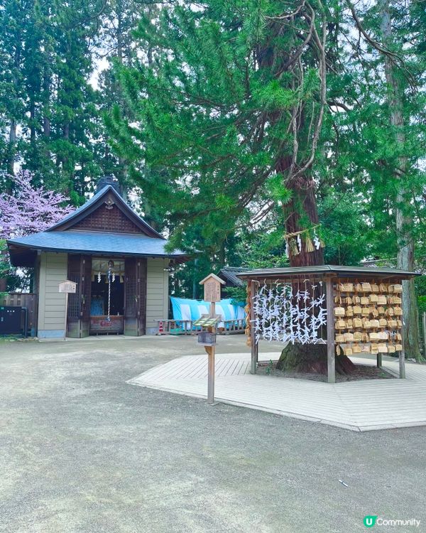 仙台🌸石鳥居，櫻花🌸燈籠🏮 盡顯典雅之美