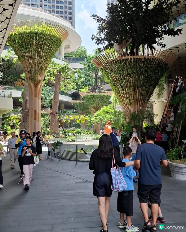 想點行都得呀…