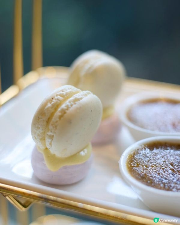 Afternoon tea💜金鐘AMMO 𝐂𝐇𝐀𝐍