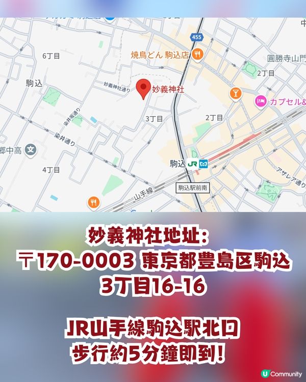 東京必訪貓貓神社｜絕美「黑貓彩繪玻璃御守」／貓貓主題御朱印／仙氣「鎮社貓咪」