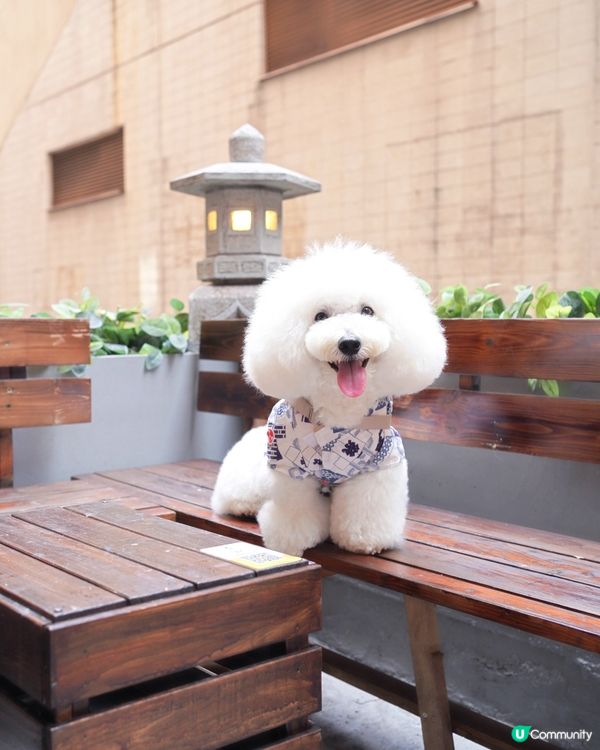 日式刨冰專門店 和菓子師傅手造