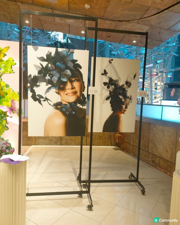 朗豪坊打卡新地標！🌸🦋世界紅瘡狼斑日藝術展！🖌️🖼️