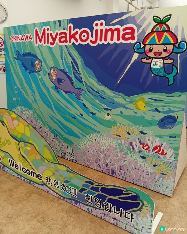 沖繩宮古島之旅，美到爆💥！