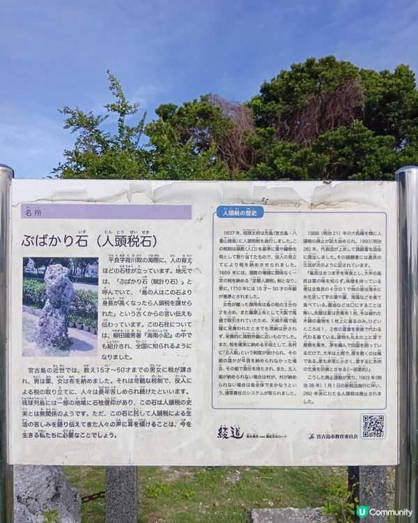 沖繩宮古島之旅，美到爆💥！