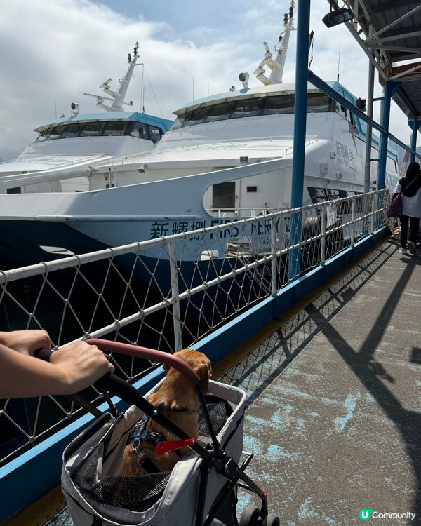 寵物💰11蚊就可以搭船？